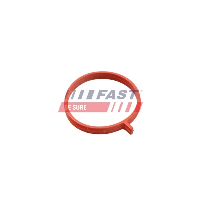 Imagem de FAST FT48962 Retentor, tubo do ar de sobrealimentação RENAULT: Megane 4, DACIA: Lodgy