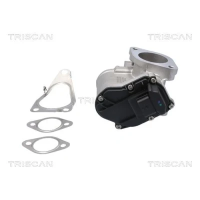 Imagem de TRISCAN 8813 25201 Válvula EGR elétrico com juntas, sem radiador da recirculação dos gases de escape RENAULT: MEGANE 2 Kombi, 2, SCENIC