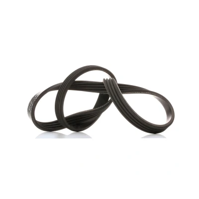 Imagem de FEBI BILSTEIN 38441 Correia trapezoidal estriada BMW: 3 Sedan, Touring, 1 Hatchback