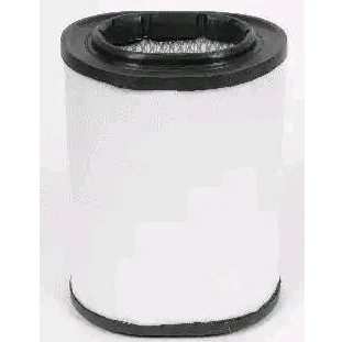 Imagem de CHAMPION CAF100476C Filtro de ar 237 179 Cartucho filtrante LAND ROVER: Range Rover 3