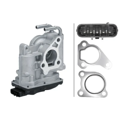 Imagem de HELLA 6NU 014 864 571 Válvula EGR elétrico com anéis de vedação TOYOTA: Auris Carrinha