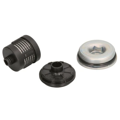 Imagem de BorgWarner DS120456 Filtro hidráulico, embraiagem Haldex AUDI: TT Coupe
