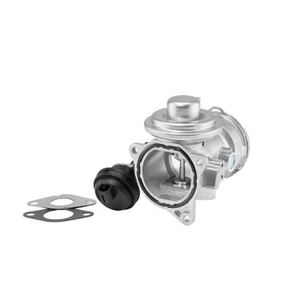 Imagem de WAHLER 7372D/1 Válvula EGR pneumático com juntas VOLKSWAGEN: Passat B5 GP Variant, Sharan I, Sedan, AUDI: A4 B6 Avant, Sedan