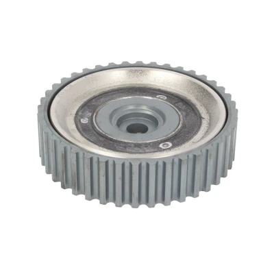 Imagem de DAYCO CSP1000 Roda dentada, árvore de cames RENAULT: ESPACE 3, MEGANE 1
