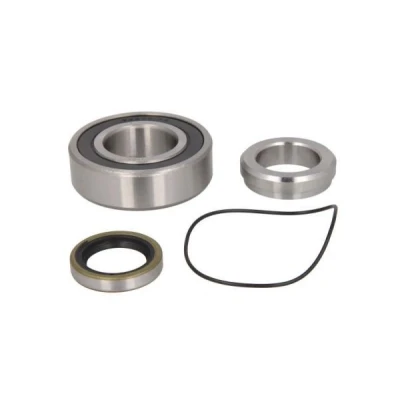 Imagem de Conjunto de rolamentos roda BTA H2L001BTA