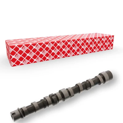 Imagem de FEBI BILSTEIN 103717 Árvore de Cames Lado do escape FIAT: Doblo I Cargo
