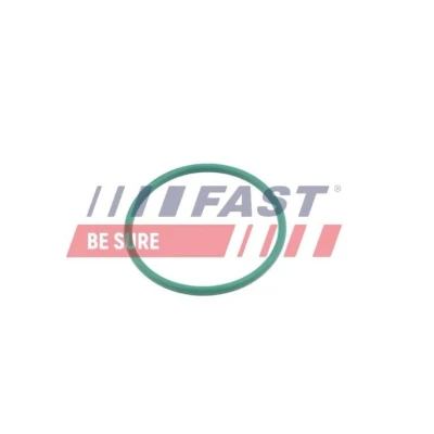 Imagem de FAST FT49921 Retentor, tubo do ar de sobrealimentação PEUGEOT: Partner I Van, 307 Hatchback, 407 SW, FORD: C Max, MINI: Hatchback