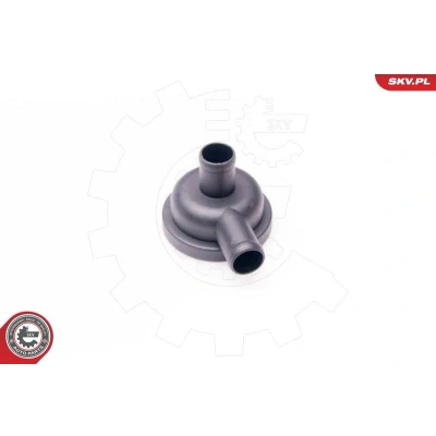 Imagem de ESEN SKV 31SKV010 Válvula, respiro do cárter da cambota Válvula de purga ar cabeça cilíndrica AUDI: A3 Hatchback, A4 B5 Sedan, B6/B7 Cabrio