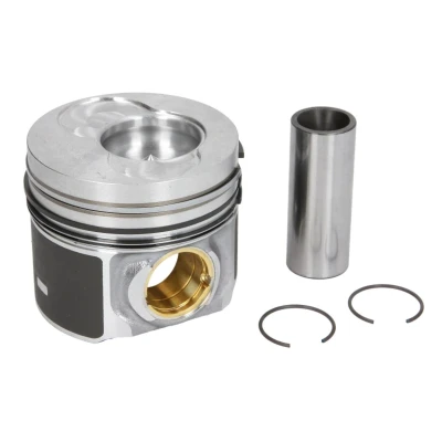 Imagem de NÜRAL 87 421000 10 Pistão 81 para cilindro 1, 2 com casquilho cubo de pernos, canal refrigeração, suporte segmentos