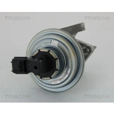 Imagem de TRISCAN 8813 16045 Válvula EGR comandado por vácuo sem juntas FORD: Transit Mk5 Van, Camião de plataforma/Chassis