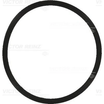 Imagem de REINZ 40 77570 00 Junta de Coletor Admissão SEAT: Ibiza 3, SKODA: Fabia 2, 1 Combi, VOLKSWAGEN: Polo IV Hatchback