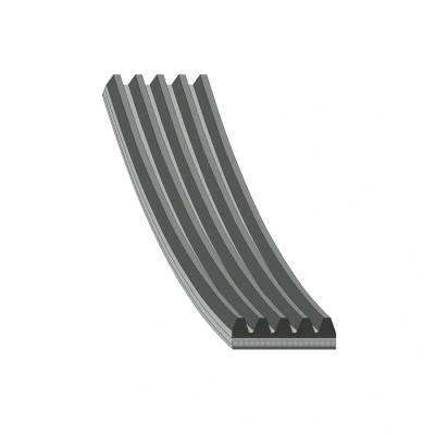Imagem de FEBI BILSTEIN 28829 Correia trapezoidal estriada 870 5 EPDM (borracha de etileno propileno dieno) FORD: MONDEO 2 Kombi, 2, RENAULT: CLIO 1