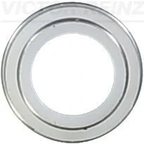 Imagem de REINZ 70 23062 00 Retentor de Haste Válvula