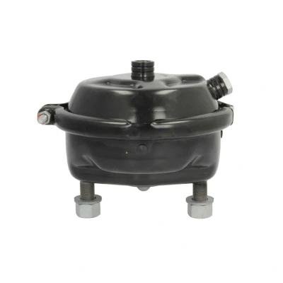Imagem de DT Spare Parts 5.70305 Cilindro de travão membrana