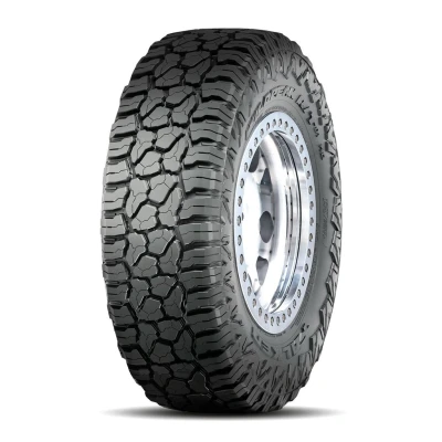 Imagem de Falken WILDPEAK R/T RT01 275/55 R20 120/117Q carro Pneus de verão 356977