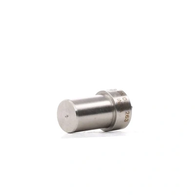 Imagem de BOSCH 0 434 250 125 Porta injector