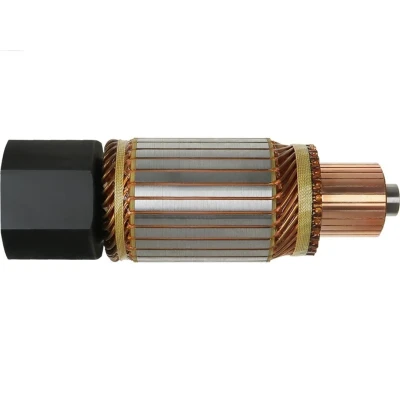 Imagem de AS PL SA0001 Induzido, motor de arranque