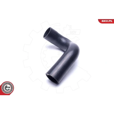 Imagem de ESEN SKV Amortecedor da mala 649mm traseira direita VOLKSWAGEN: Tiguan II 52SKV866