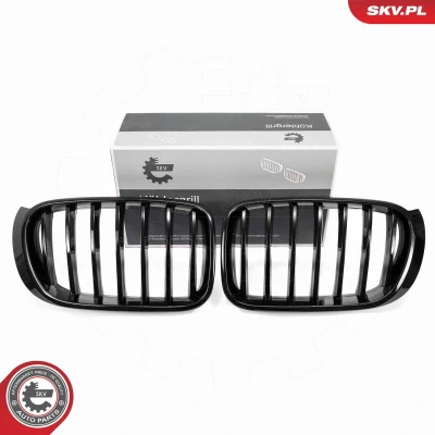 Imagem de ESEN SKV 66SKV254 Grelha de Radiador preto, brilhante