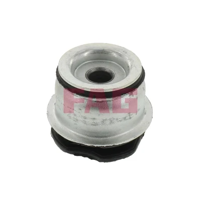 Imagem de FAG 829 0487 10 Bucha de Eixo FIAT: Barchetta, Punto I Hatchback