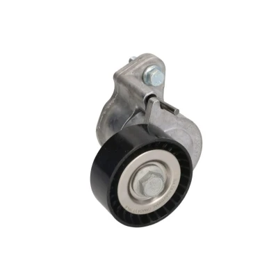 Imagem de INA 534 0325 10 Tensor, correia trapezoidal estriada PEUGEOT: 4007