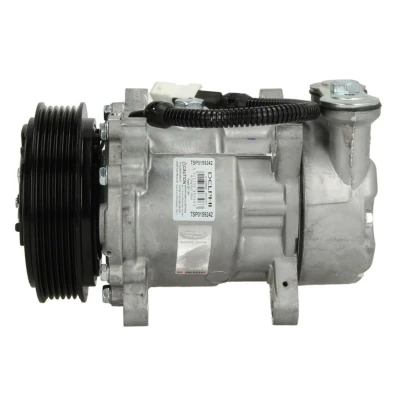 Imagem de DELPHI TSP0159242 compressor Sanden SD6V12 PAG 46 com óleo de PEUGEOT: 206 Hatchback, SW, CITROËN: Xsara Picasso