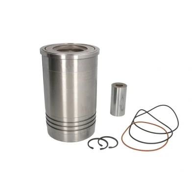 Imagem de Kit de reparação, revestimento do pistão/cilindro KOLBENSCHMIDT 41479960
