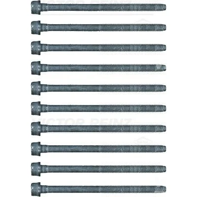 Imagem de REINZ 14 17428 01 Jogo de Parafusos da Cabeçote Torx interior FIAT: Tipo Hatchback
