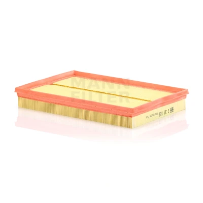 Imagem de MANN FILTER C 31 123 Filtro de ar 42 209 309 Cartucho filtrante