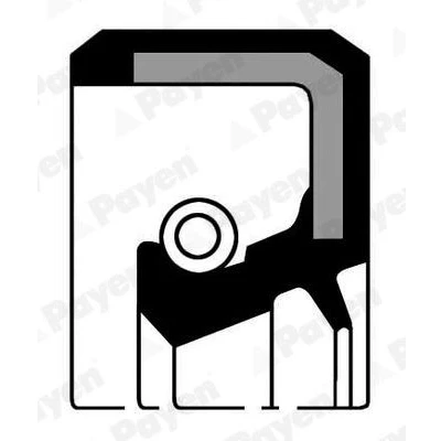 Imagem de PAYEN NJ992 Retentor do veio