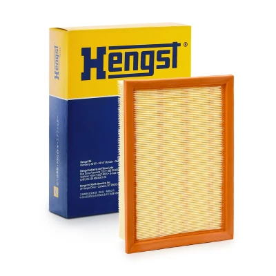 Imagem de HENGST FILTER E619L Filtro de ar 56 212 295 pólen