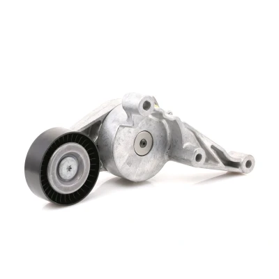 Imagem de FEBI BILSTEIN 28025 Tensor da Correia VOLKSWAGEN: Passat B6 Variant, Golf Plus / Crossgolf, AUDI: A3 Sportback endado, norauto, oscaro, mister auto