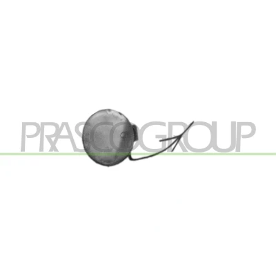 Imagem de PRASCO OP0581236 Tampa, gancho de reboque à frente OPEL: Vectra C CC