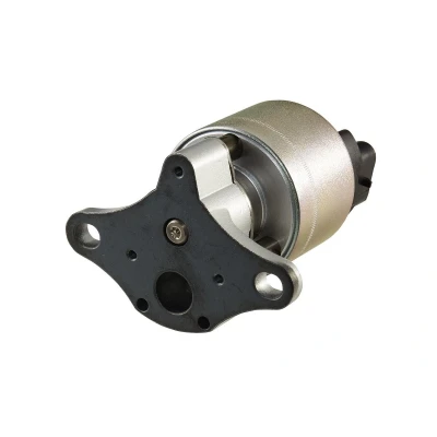 Imagem de HELLA 6NU 010 171 601 Válvula EGR electrónico com junta OPEL: Corsa B Hatchback, Vectra Carrinha, Sedan