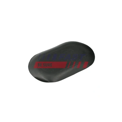 Imagem de FAST FT97402 Tampa, pega da porta