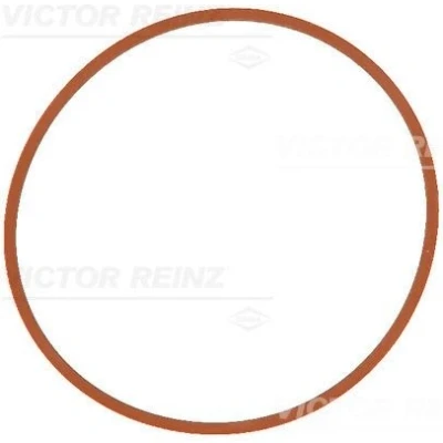 Imagem de REINZ 71 17146 00 Junta de Coletor Admissão FPM (borracha flúor)