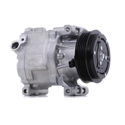 Imagem de DENSO DCP09061 Compressor SCSB06C 12 PAG 46 YF R 134a, 1234yf com embraiagem magnética FIAT: Grande Punto Hatchback, Stilo Doblo I Cargo