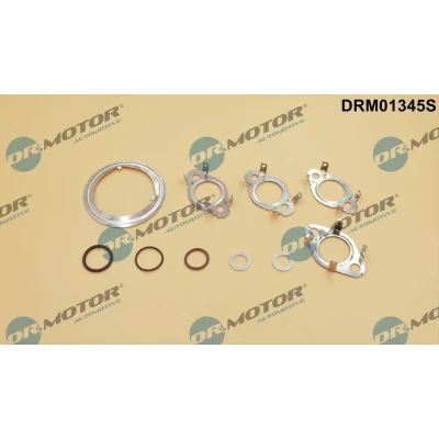 Imagem de DR.MOTOR AUTOMOTIVE DRM01345S Jogo de vedantes, sistema recirculação gases escape SKODA: Octavia II Hatchback, 2 Combi