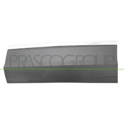 Imagem de Friso, porta PRASCO VG8101464