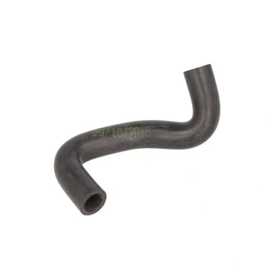 Imagem de SASIC 3404099 Mangueira de Radiador RENAULT: CLIO 2, Kangoo I Express, 2 Kasten