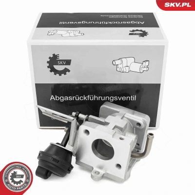 Imagem de ESEN SKV 14SKV290 Válvula EGR AUDI: A4 B7 Avant, A6 C6 Sedan, VOLKSWAGEN: Touareg I