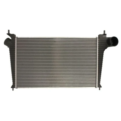 Imagem de THERMOTEC DAU001TT Intercooler
