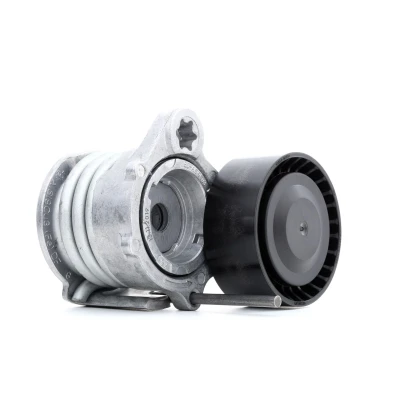 Imagem de INA 534 0331 10 Tensor, correia trapezoidal estriada BMW: 3 Touring, 1 Hatchback, Sedan endado, norauto, oscaro, mister auto