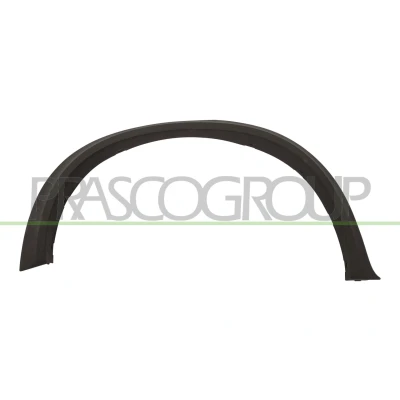 Imagem de PRASCO BM8241583 Friso, guarda lamas traseira direita