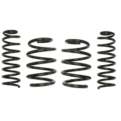 Imagem de EIBACH Pro Kit E10 75 003 15 22 de suspensão, molas RENAULT: MEGANE 2
