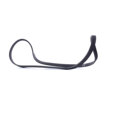 Imagem de BOSCH 1 987 947 809 Correia trapezoidal estriada 962 4 RENAULT: ESPACE 3, LAGUNA 1, Grandtour, FIAT: BRAVO Marea Weekend, Sedan