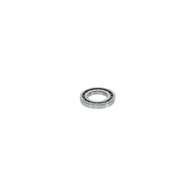 Imagem de BOSCH 1 460 925 001 Rolamento
