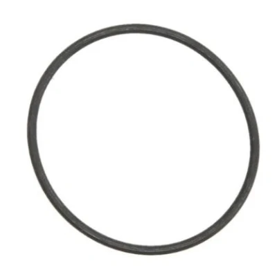 Imagem de LEMA 123200 Retentor 55,25mm 2,62mm O ring FPM (borracha de flúor)