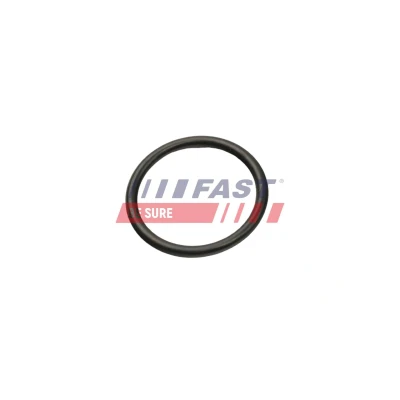 Imagem de FAST FT50013 Válvula de Admissão 41 IVECO: DAILY 3