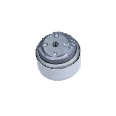 Imagem de MAXGEAR 40 0614 Suporte, motor à frente, de ambos os lados Apoio hidráulico MERCEDES BENZ: Classe S Sedan